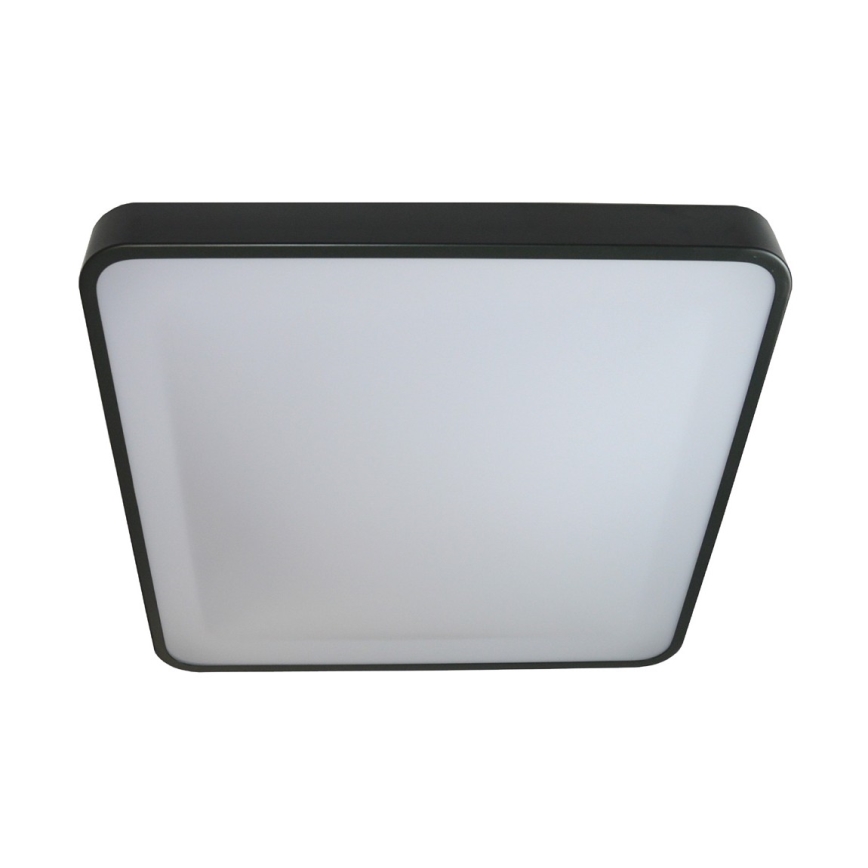 LED Stropna svjetiljka WILTON LED/24W/230V 37,5x37,5 cm antracit