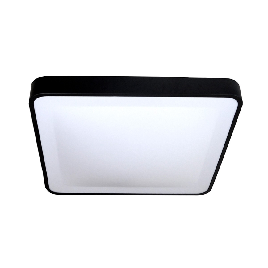 LED Stropna svjetiljka WILTON LED/24W/230V 37,5x37,5 cm crna