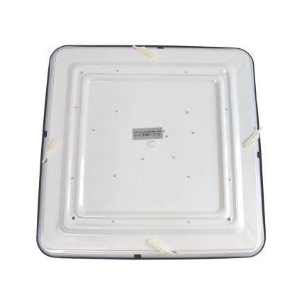 LED Stropna svjetiljka WILTON LED/24W/230V 37,5x37,5 cm crna