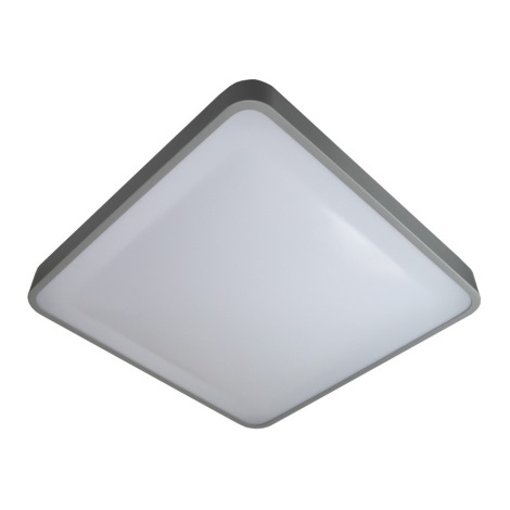 LED Stropna svjetiljka WILTON LED/24W/230V siva