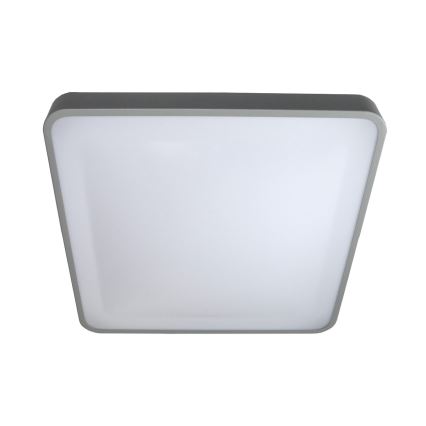 LED Stropna svjetiljka WILTON LED/24W/230V 37,5x37,5 cm siva