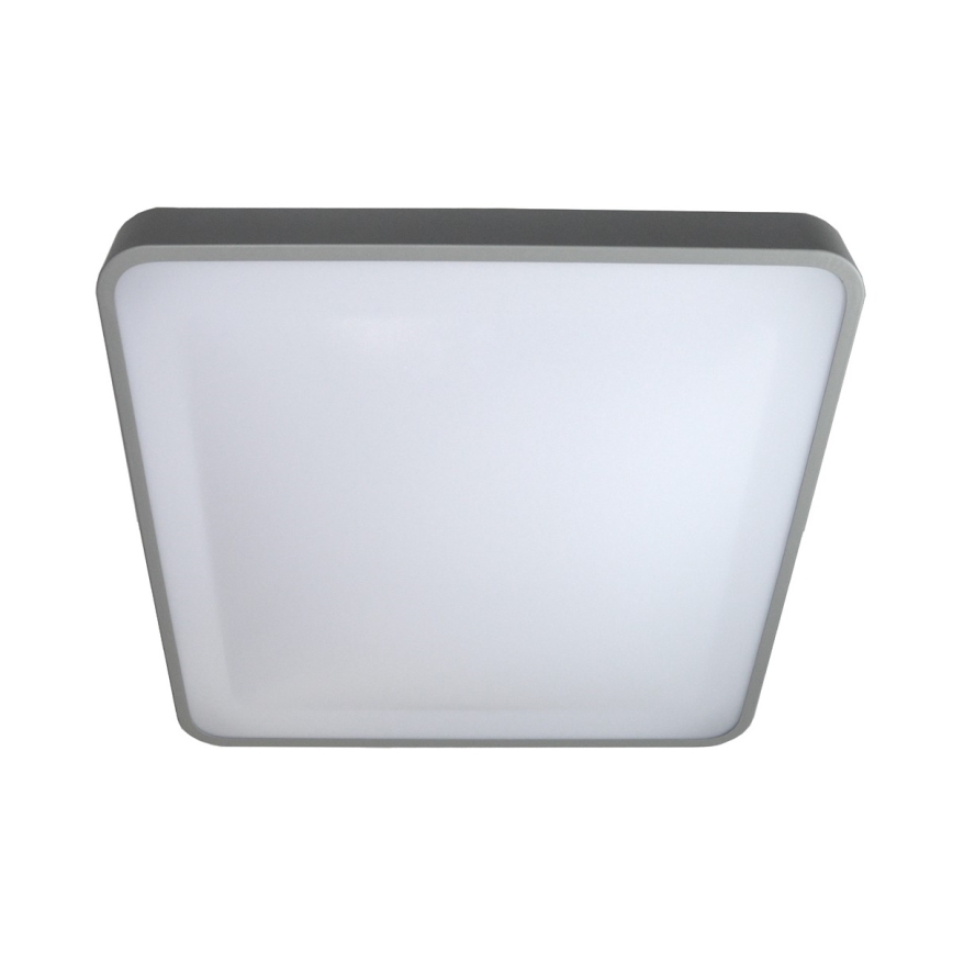 LED Stropna svjetiljka WILTON LED/24W/230V 37,5x37,5 cm siva