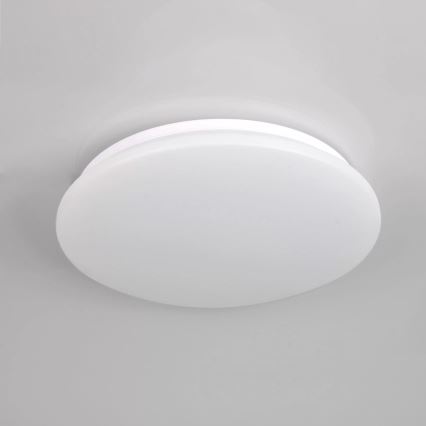LED Stropna svjetiljka za kupaonicu ADAR LED/12W/230V IP44 4000K