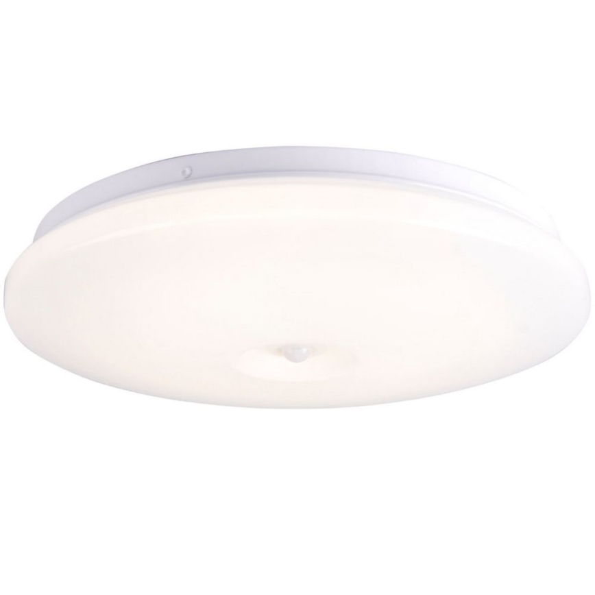 LED Stropna kupaonska svjetiljka ADAR LED/13W/230V IP44 4000K senzor
