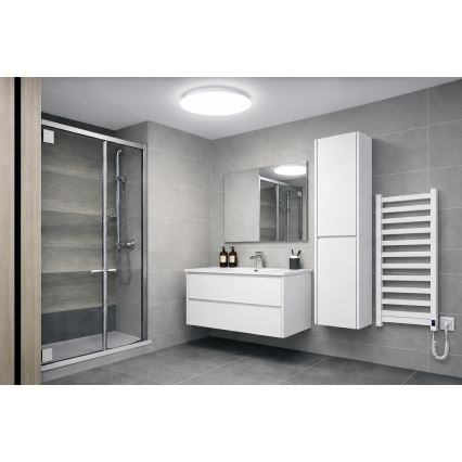 LED Stropna svjetiljka za kupaonicu ADAR LED/17W/230V IP44 4000K
