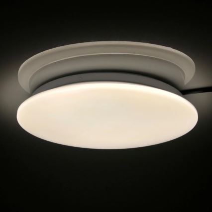 LED Stropna svjetiljka za kupaonicu ADAR LED/17W/230V IP44 4000K