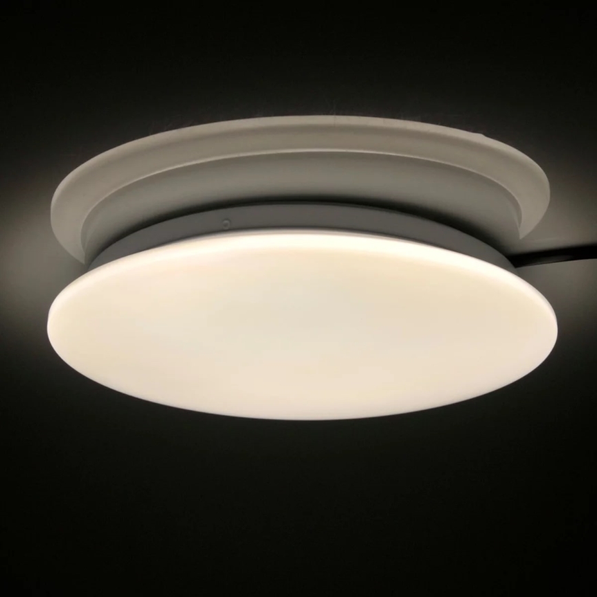 LED Stropna svjetiljka za kupaonicu ADAR LED/17W/230V IP44 4000K
