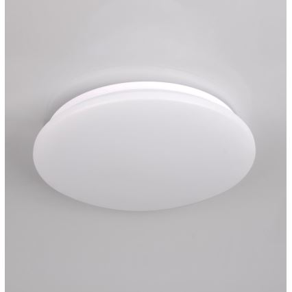 LED Stropna svjetiljka za kupaonicu ADAR LED/17W/230V IP44 4000K