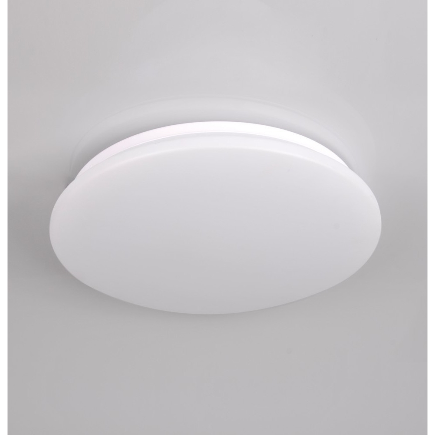 LED Stropna svjetiljka za kupaonicu ADAR LED/17W/230V IP44 4000K