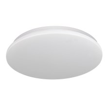 LED Stropna svjetiljka za kupaonicu ADAR LED/18W/230V IP44 4000K