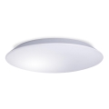 LED Stropna svjetiljka za kupaonicu AVESTA LED/18W/230V 4000K IP54