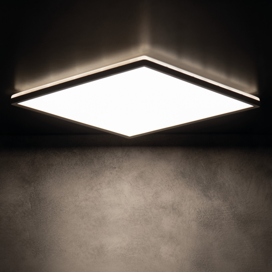 LED Stropna svjetiljka za kupaonicu AZPO LED/12,3W/230V IP54 crna