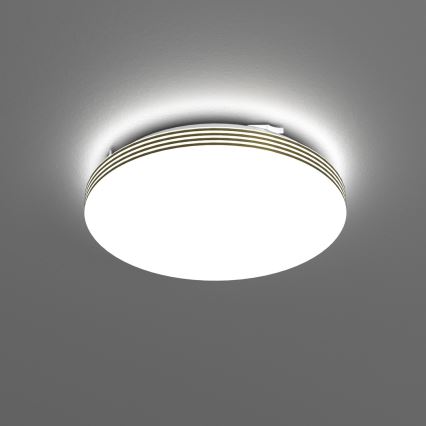 LED Stropna svjetiljka za kupaonicu BEVER LED/10W/230V 4000K pr. 26 cm IP44