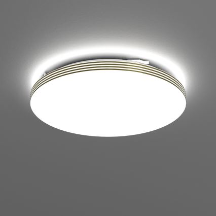 LED Stropna svjetiljka za kupaonicu BEVER LED/16W/230V 4000K pr. 33 cm IP44