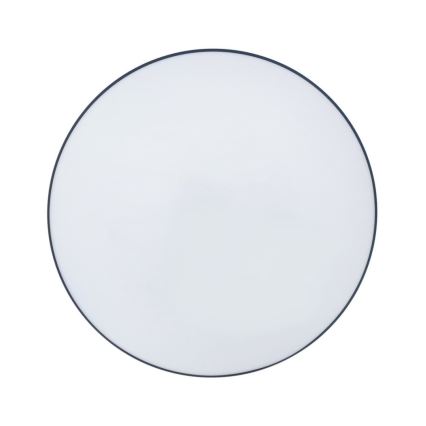 LED Stropna svjetiljka za kupaonicu CIRCLE LED/12W/230V 4000K pr. 25 cm IP44 crna