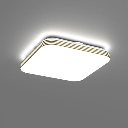 LED Stropna svjetiljka za kupaonicu DABAR LED/11W/230V 4000K 26x26 cm IP44