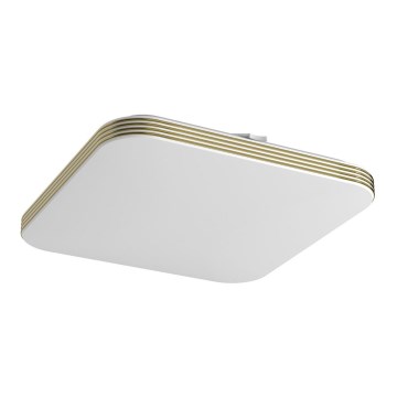 LED Stropna svjetiljka za kupaonicu DABAR LED/17W/230V 4000K 33x33 cm IP44