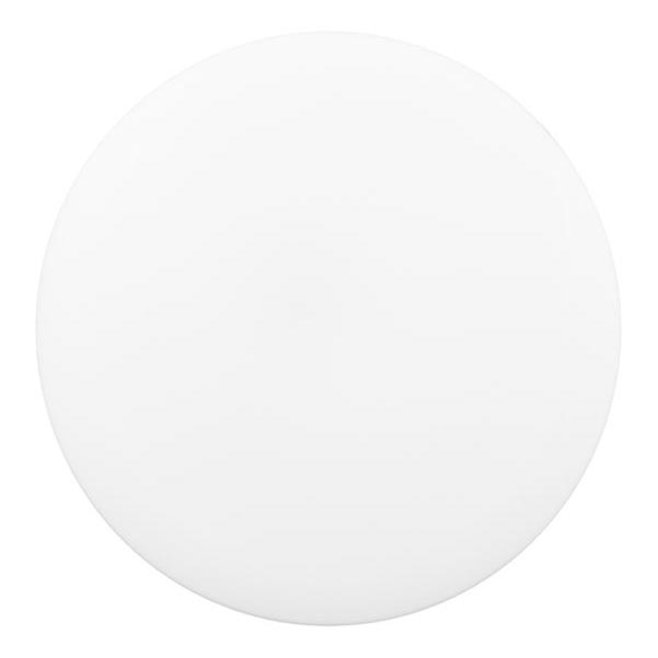 LED Stropna svjetiljka za kupaonicu DISK LED/12W/230V 3000/4000/6500K pr. 23 cm IP44 bijela