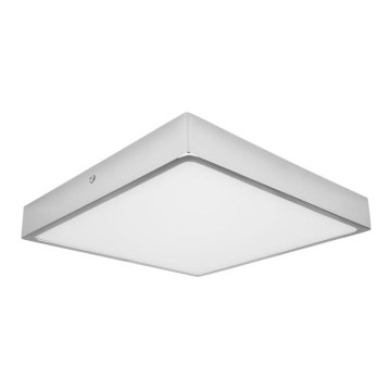 LED Stropna svjetiljka za kupaonicu EGON LED/16W/230V IP44 3000K