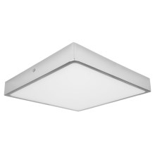 LED Stropna svjetiljka za kupaonicu EGON LED/30W/230V IP44 3000K