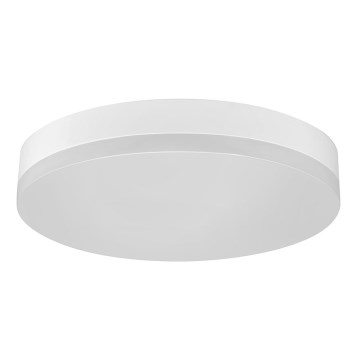 LED Stropna svjetiljka za kupaonicu LED/12W/230V