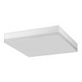 LED Stropna svjetiljka za kupaonicu LED/12W/230V
