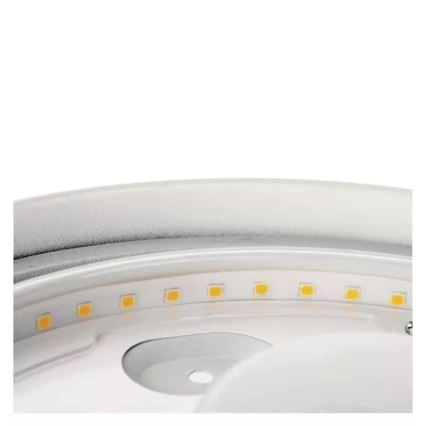 LED Stropna svjetiljka za kupaonicu LED/12W/230V IP44