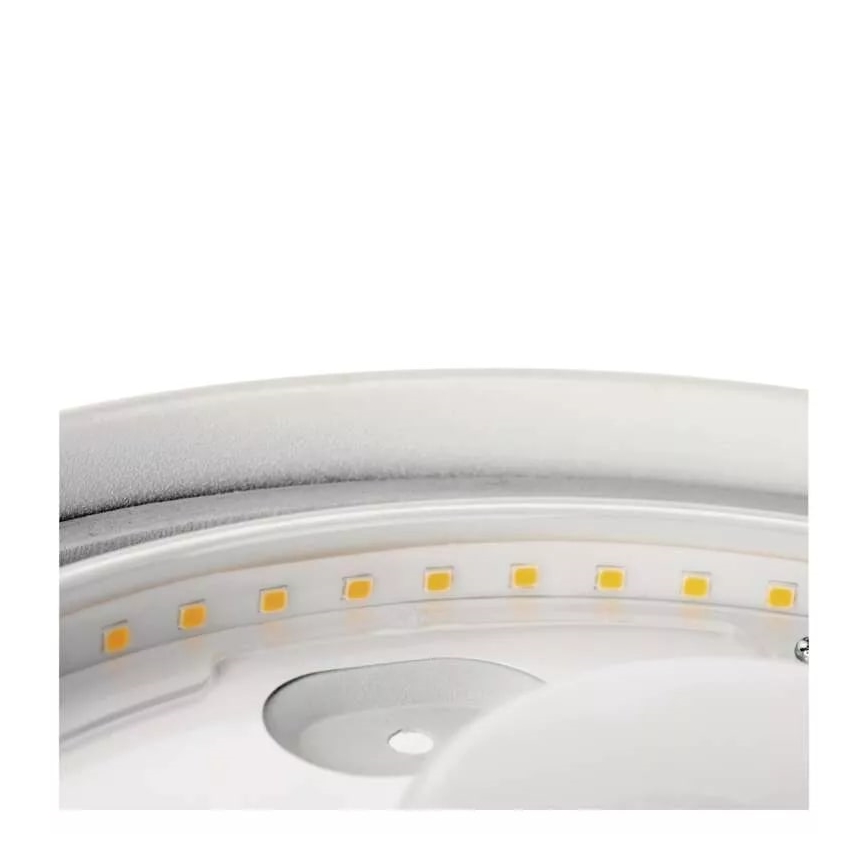 LED Stropna svjetiljka za kupaonicu LED/12W/230V IP44