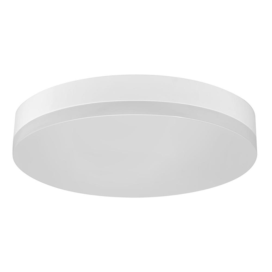 LED Stropna svjetiljka za kupaonicu LED/12W/230V IP44