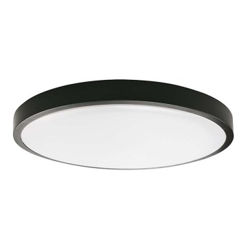 LED Stropna svjetiljka za kupaonicu LED/18W/230V 3000K IP44 crna