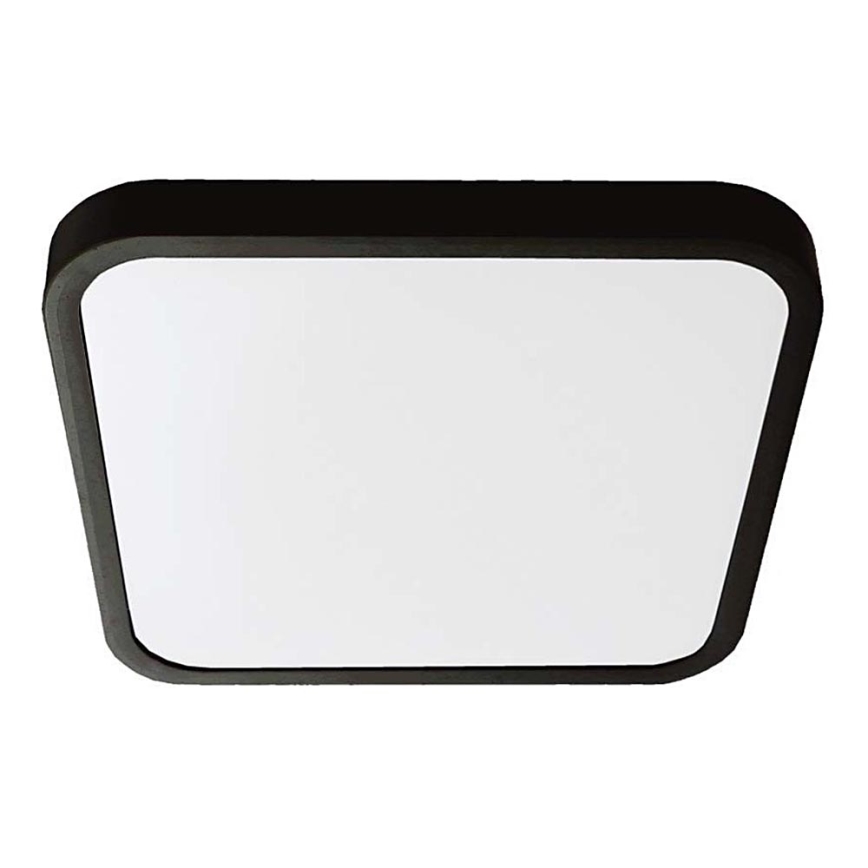 LED Stropna svjetiljka za kupaonicu LED/18W/230V 4000K IP44 25x25 cm crna