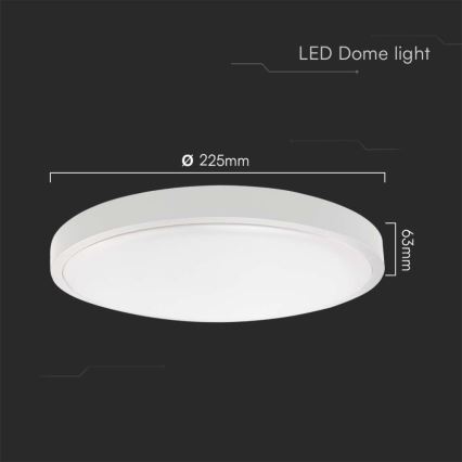 LED Stropna svjetiljka za kupaonicu LED/18W/230V 4000K IP44 pr. 22,5 cm bijela