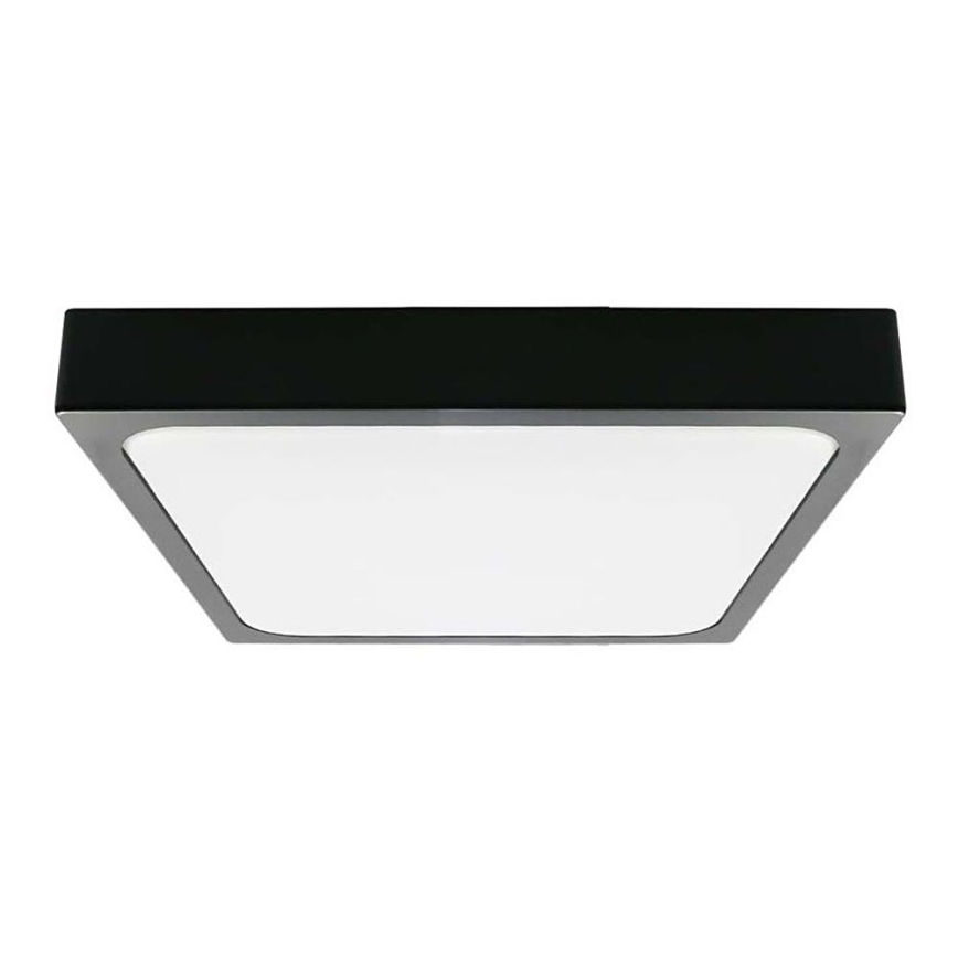 LED Stropna svjetiljka za kupaonicu LED/18W/230V 6500K IP44 22,5x22,5 cm crna