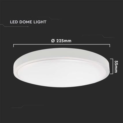 LED Stropna svjetiljka za kupaonicu LED/18W/230V 6500K IP44 bijela