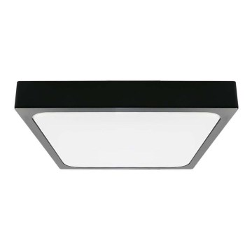 LED Stropna svjetiljka za kupaonicu LED/18W/230V 6500K IP44 crna