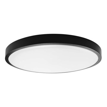 LED Stropna svjetiljka za kupaonicu LED/18W/230V 6500K IP44 crna