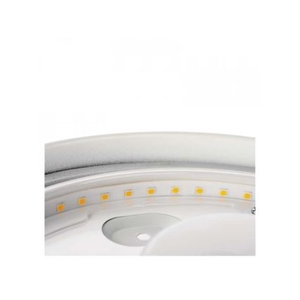 LED Stropna svjetiljka za kupaonicu LED/18W/230V IP44