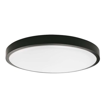 LED Stropna svjetiljka za kupaonicu LED/24W/230V 4000K IP44 pr. 29,5 cm crna