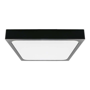 LED Stropna svjetiljka za kupaonicu LED/24W/230V 6500K IP44 crna