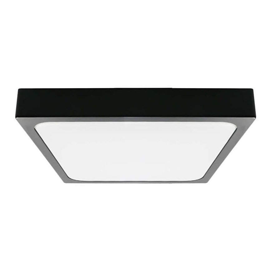 LED Stropna svjetiljka za kupaonicu LED/24W/230V 6500K IP44 crna