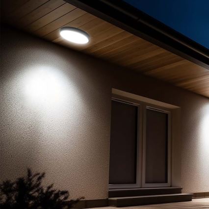 LED Stropna svjetiljka za kupaonicu LED/24W/230V 6500K IP44 pr. 29,5 cm crna