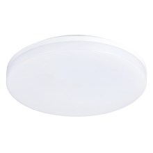LED Stropna svjetiljka za kupaonicu LED/24W/230V IP54