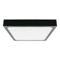 LED Stropna svjetiljka za kupaonicu LED/30W/230V 3000K IP44 42x42 cm crna