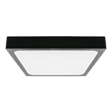 LED Stropna svjetiljka za kupaonicu LED/30W/230V 3000K IP44 42x42 cm crna