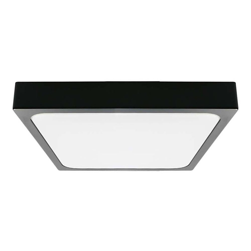 LED Stropna svjetiljka za kupaonicu LED/30W/230V 3000K IP44 42x42 cm crna
