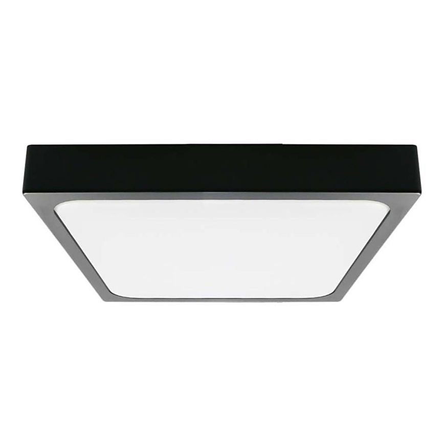 LED Stropna svjetiljka za kupaonicu LED/30W/230V 3000K IP44 crna