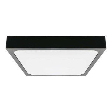 LED Stropna svjetiljka za kupaonicu LED/30W/230V 4000K IP44 42x42 cm crna