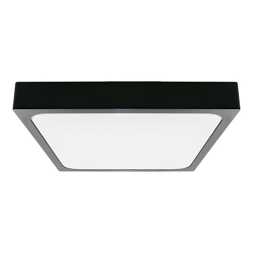 LED Stropna svjetiljka za kupaonicu LED/30W/230V 4000K IP44 42x42 cm crna