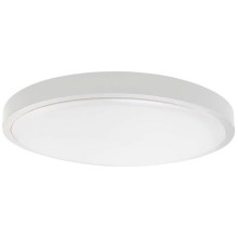 LED Stropna svjetiljka za kupaonicu LED/30W/230V 4000K IP44 bijela