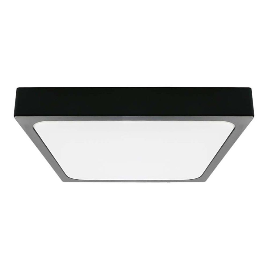 LED Stropna svjetiljka za kupaonicu LED/30W/230V 6500K IP44 42x42 cm crna